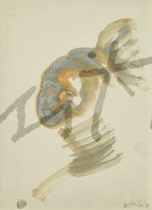 nº 35 1989 Nativas, tinta, 25 x 16 cm, FIRMA anverso bajo dcha MARCO sí