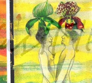 2012, serie dibujos lorquianos, acrílico sobre papel,17'5 x 25 cm 5