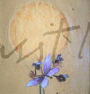 2003 Mostachones, Plagas III 6 PORTADA