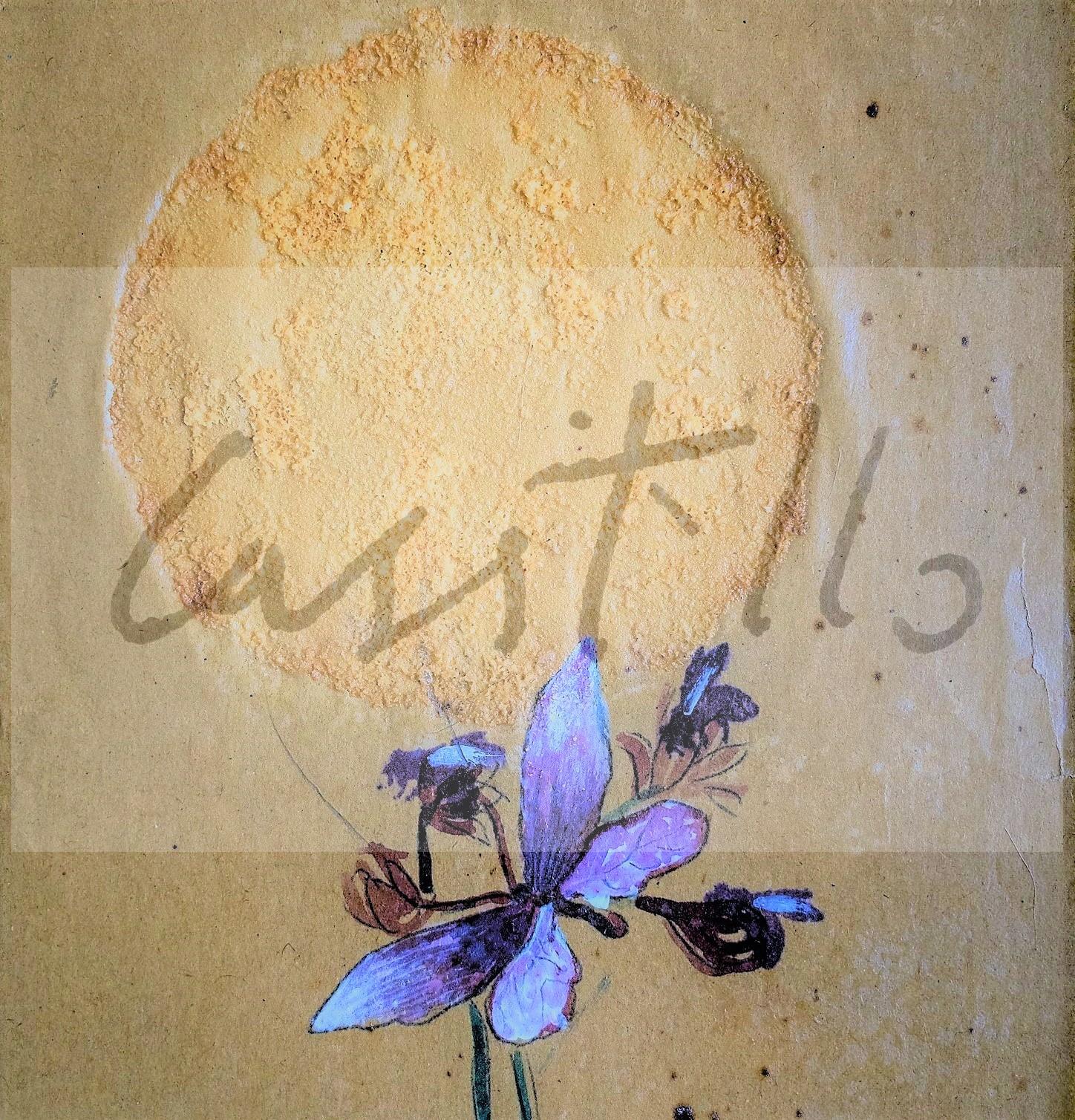 2003 Mostachones, Plagas III 6 PORTADA