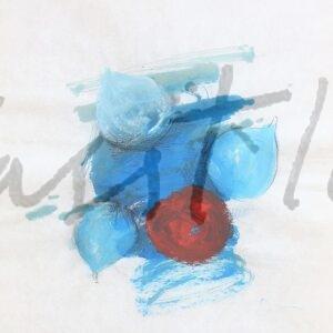 2003 V 31-aguada color