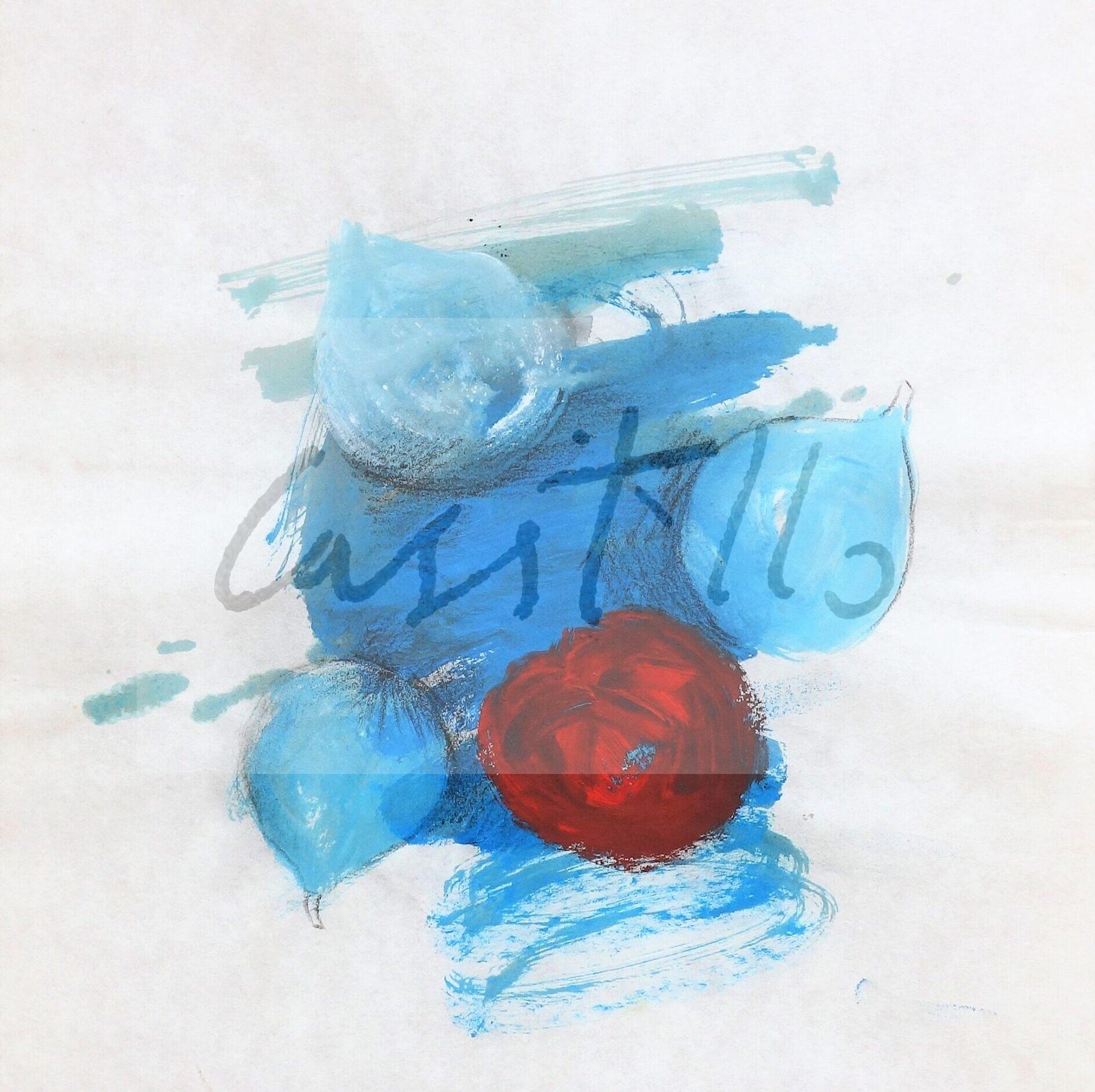 2003 V 31-aguada color