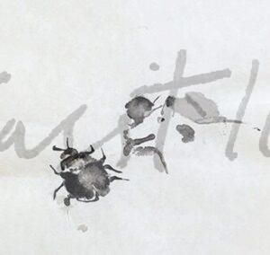 2003 V La Pulga y el Perro, aguada sobre papel, 42 x 31'5 cm