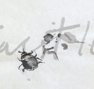 2003 V La Pulga y el Perro, aguada sobre papel, 42 x 31'5 cm