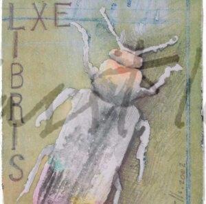 Los habitantes de mi casa 1 PORTADA