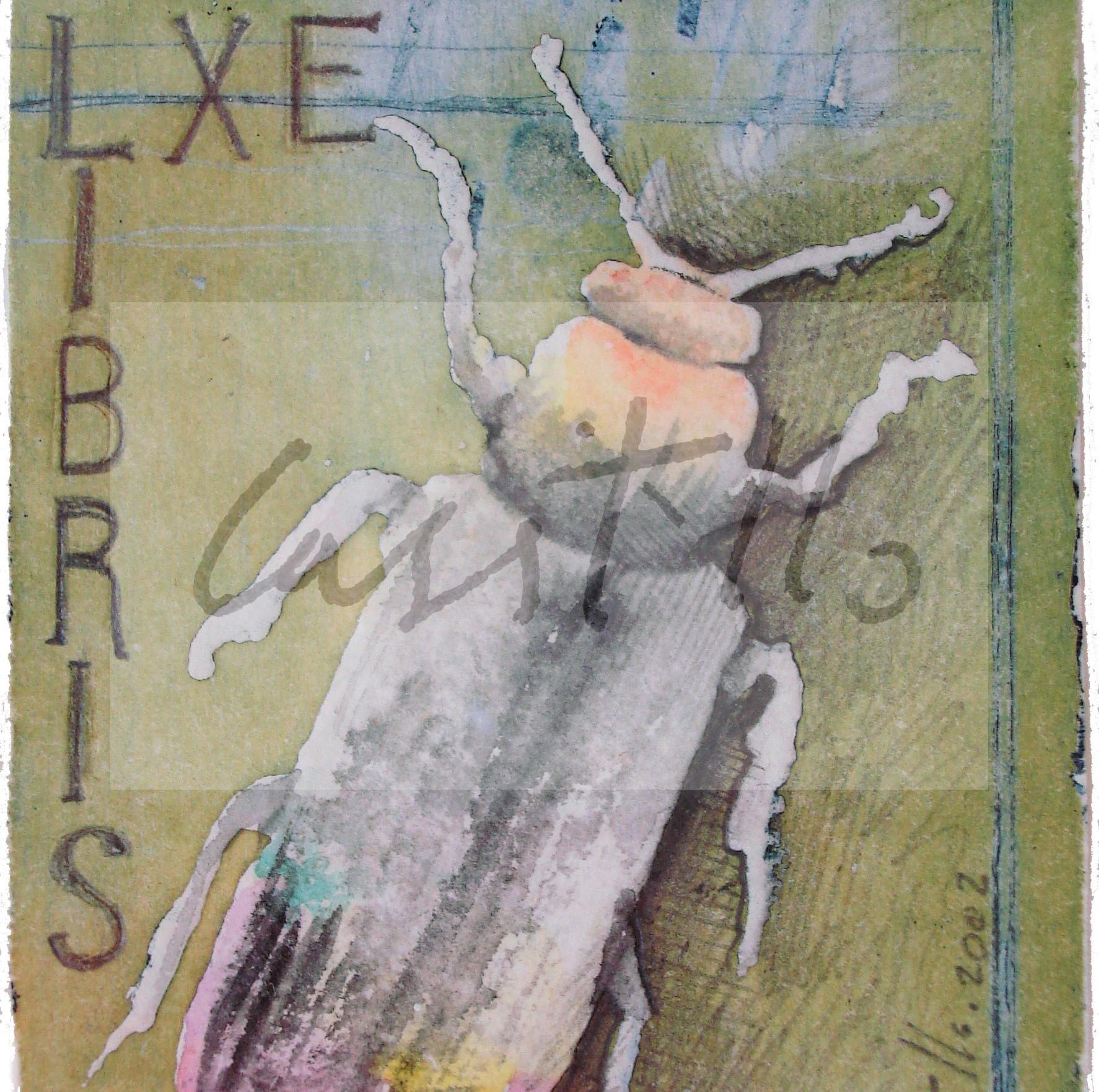 Los habitantes de mi casa 1 PORTADA