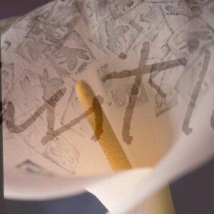 Diapo Calas Plagas II_5