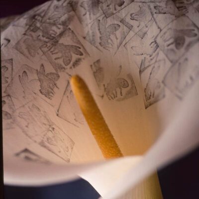 Diapo Calas Plagas II_5